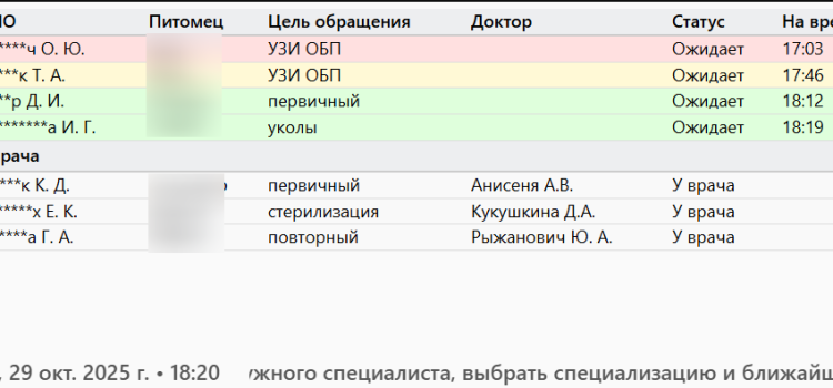 Автоматизированная страница очереди для ветеринарных клиник